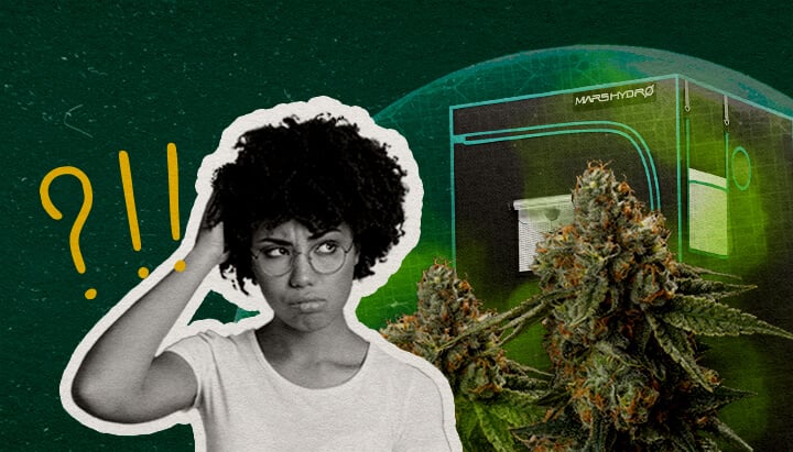 Final Thoughts Can a Grow Tent Be Truly Smell-Proof Cannabis An illustration of cannabis buds with a grow tent and a confused woman, set against a green background, pondering if a grow tent can be truly smell-proof.