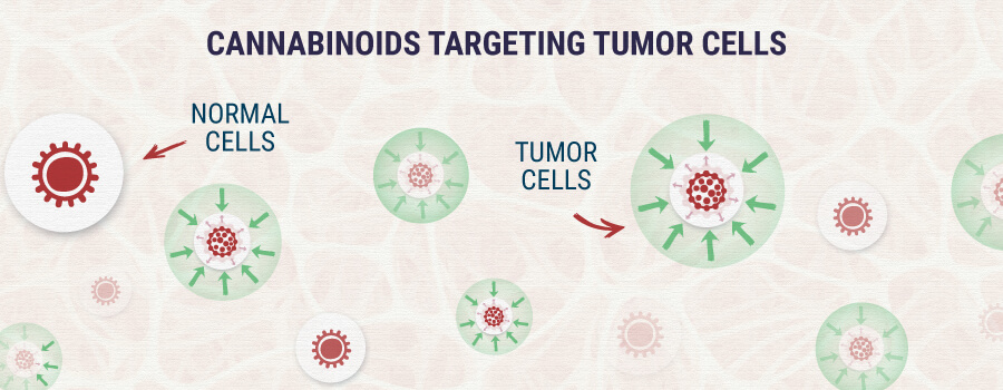 Cannabinoids-Targeting-Tumor-Cells