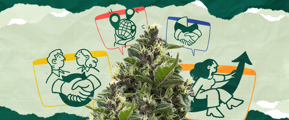 Investigate the potential positive economic effects of cannabis tourism, such as increased revenue, employment opportunities, and local economic growth.