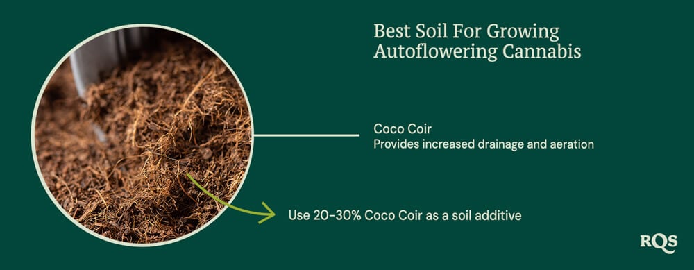 Coco coir for growing autoflowers