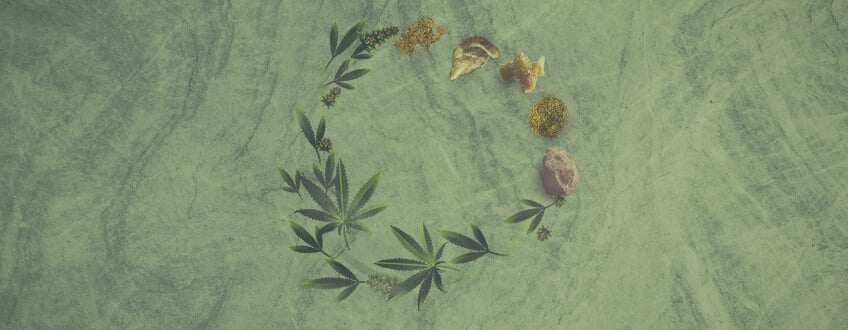 The Ultimate Guide To Cannabis Concentrates