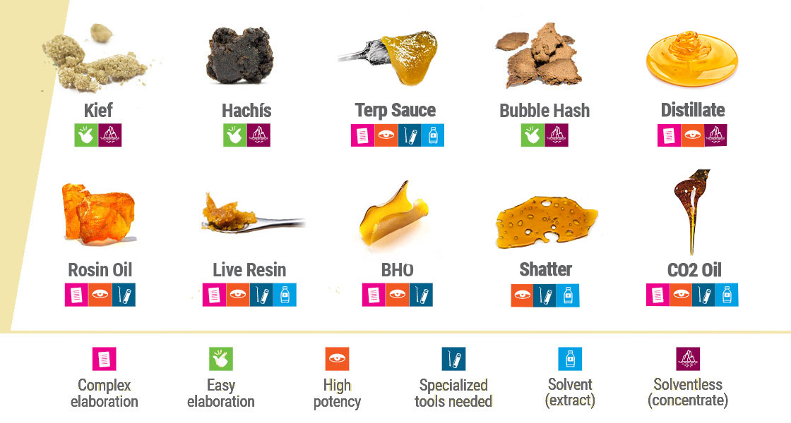 THE DIVERSE WORLD OF CANNABIS CONCENTRATES