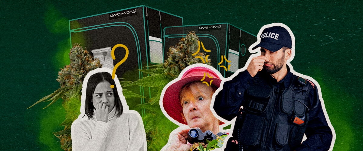 Do Grow Tents Keep the Smell In Cannabis An illustration of cannabis buds with grow tents, a confused woman, a surprised woman with binoculars, and a police officer, set against a green background, exploring whether grow tents contain cannabis smell.