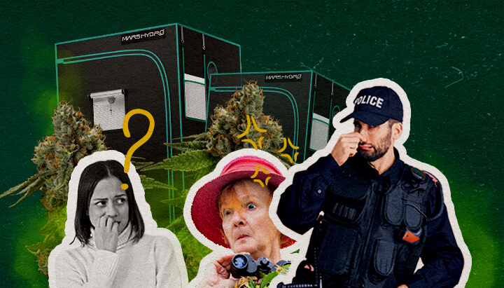 Do Grow Tents Keep the Smell In Cannabis An illustration of cannabis buds with grow tents, a confused woman, a surprised woman with binoculars, and a police officer, set against a green background, exploring whether grow tents contain cannabis smell.