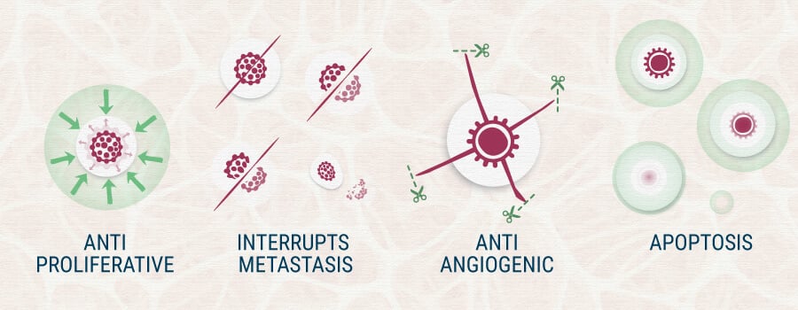 AntiProliferative, Interrupts Metastasis, Apotosis Cannabis