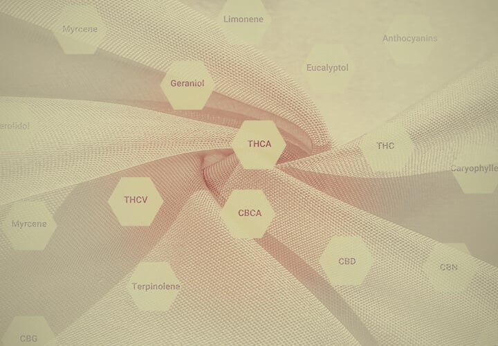 Cannabinoid, opioid, serotonin and dopamine receptors