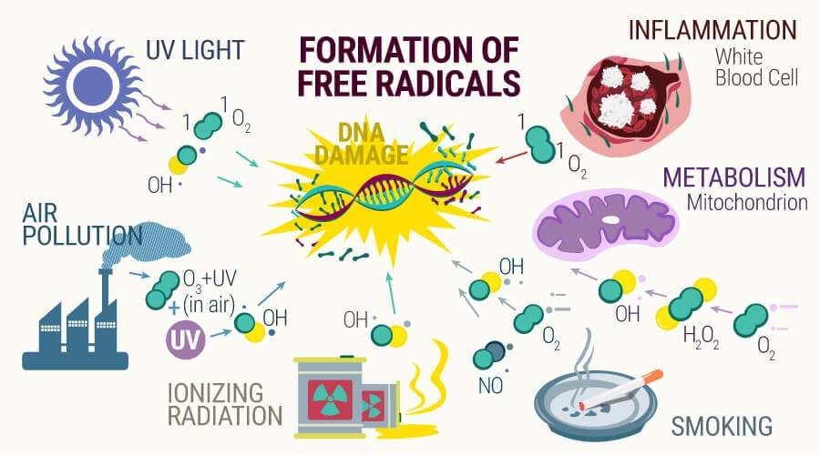 Formation of Free Radicals