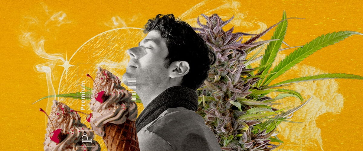 Gelato Strain Flavour and Aroma Profile An illustration of a man with closed eyes inhaling smoke, surrounded by a cannabis bud and two ice cream cones with cherries, set against a vibrant yellow background with abstract smoke effects, visually exploring the flavour and aroma profile of the Gelato strain cannabis.