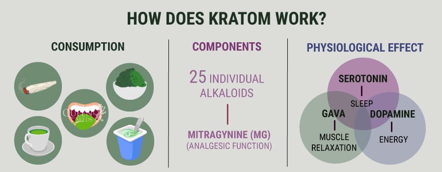 How Kraftom Work