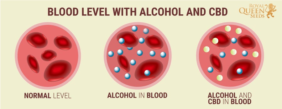 Blood Level CBD