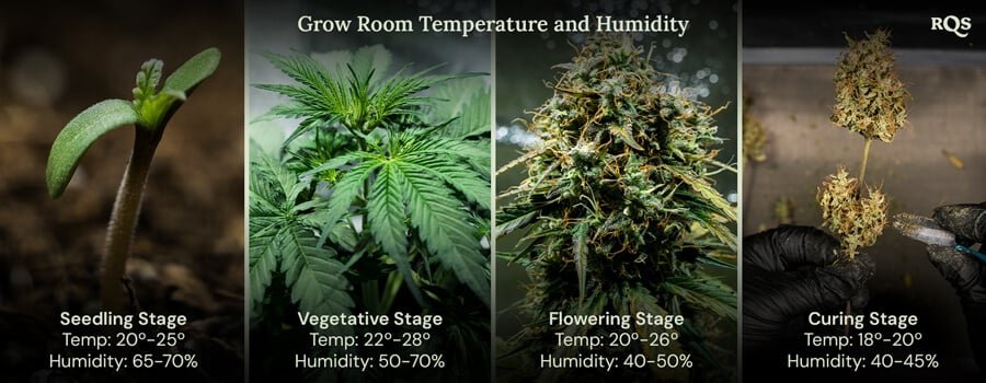 Grow Room Temperature and Humidity Four images showcasing the ideal growing conditions for plants at each life stage, from sprouting to harvest, ensuring healthy growth and maximum yields.
