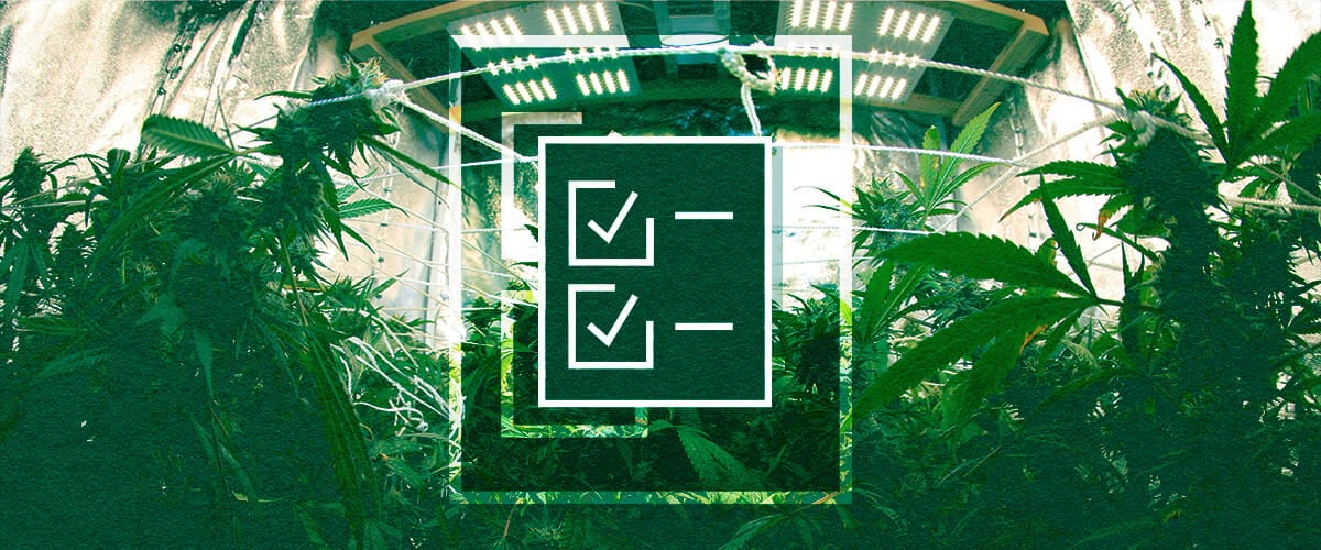 Grow Tent Equipment Checklist: Lights, Ventilation, Timers & Power Beginner's grow tent equipment checklist: Ensure success with essential lighting, ventilation systems, timers and controllers, plus power management for your indoor garden.