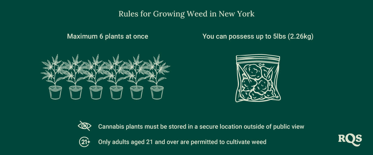 Growing weed in New York rules