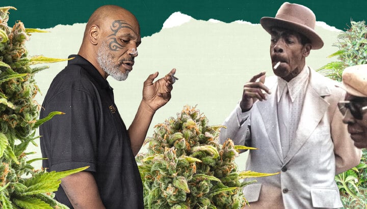 What Even Is a High-Functioning Stoner? A photo of Mike Tyson and another individual standing in a lush cannabis field, surrounded by tall green plants, highlighting the connection to cannabis cultivation.