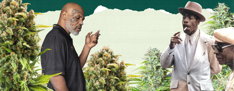 What Even Is a High-Functioning Stoner? A photo of Mike Tyson and another individual standing in a lush cannabis field, surrounded by tall green plants, highlighting the connection to cannabis cultivation.