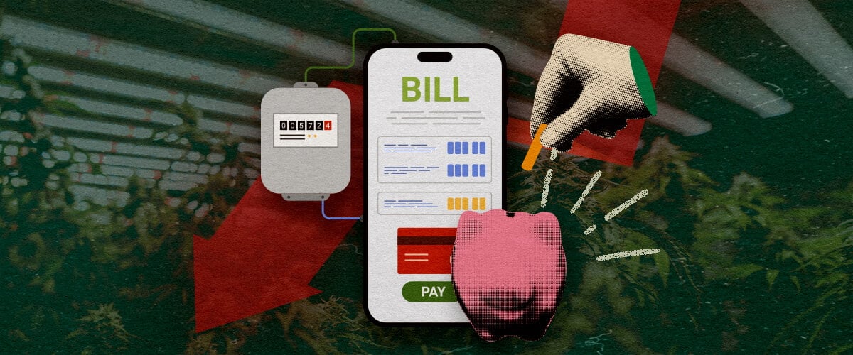 Electricity meter with smartphone bill and piggy bank, showing ways to lower grow room electricity costs on a dark green background, ideal for cannabis growing savings tips.