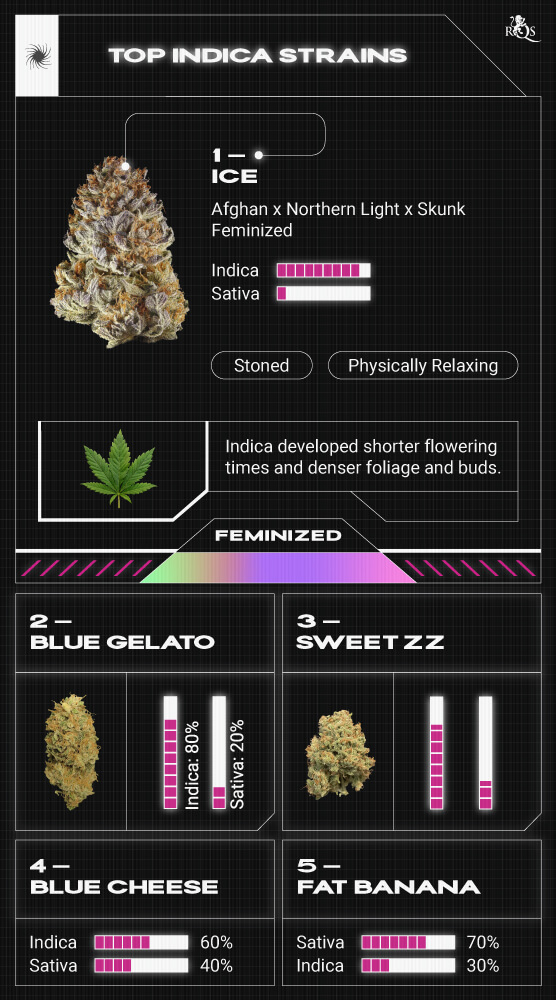 Top RQS Indica Strains Top RQS Indica Strains