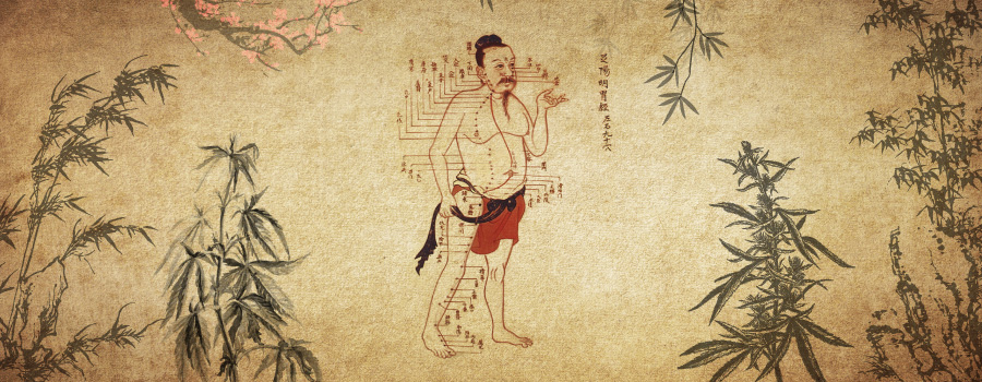Cannabis In Traditional Chinese Medicine Acupuncture