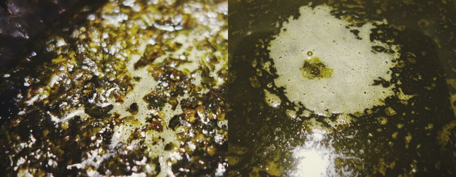 Small Bubbles Created in the Cooking of Cannabis and Butter