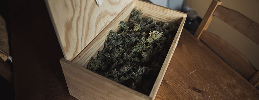 Storing Properly Your Cannabis
