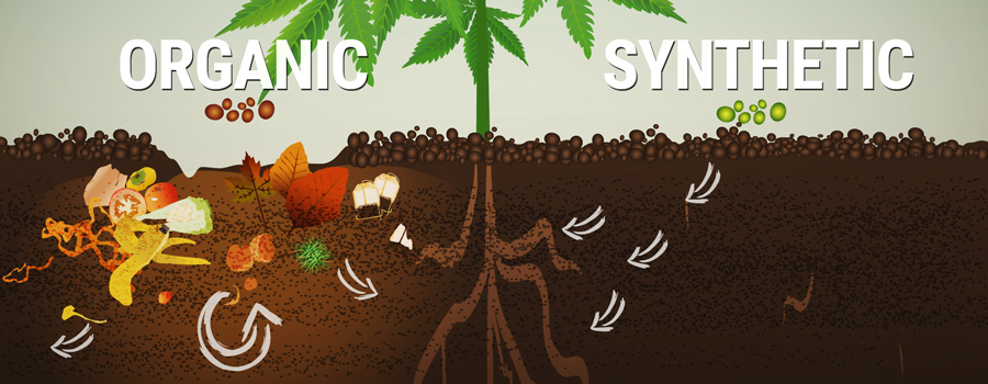 How And Why To Create Homemade Organic Fertilizers How And Why To Create Homemade Organic Fertilizers