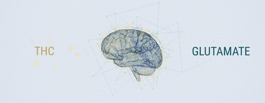 Neurotransmissers and Cannnabis 