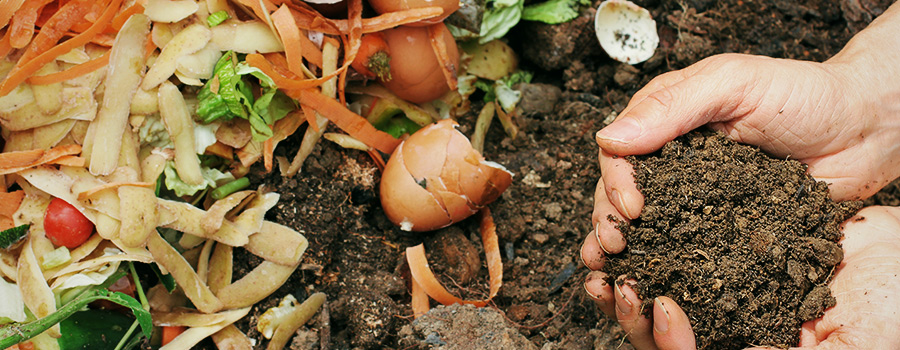 How And Why To Create Homemade Organic Fertilizers How And Why To Create Homemade Organic Fertilizers