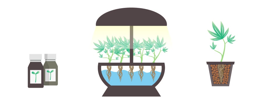 Hydroponic Growing Nutrients