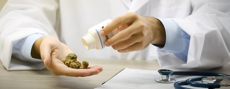 medical marijuana market USA