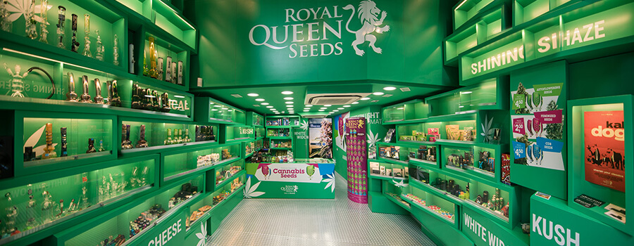 Cannabis Seed Shop Of Royal Queen Seeds In Barcelona
