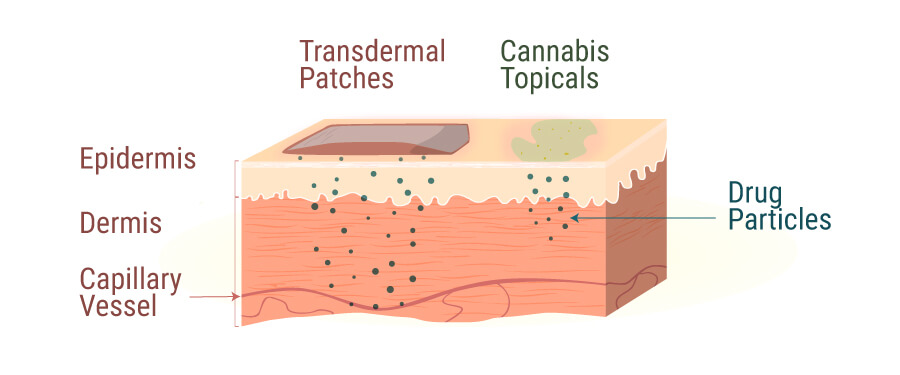 Cannabis Topicals 