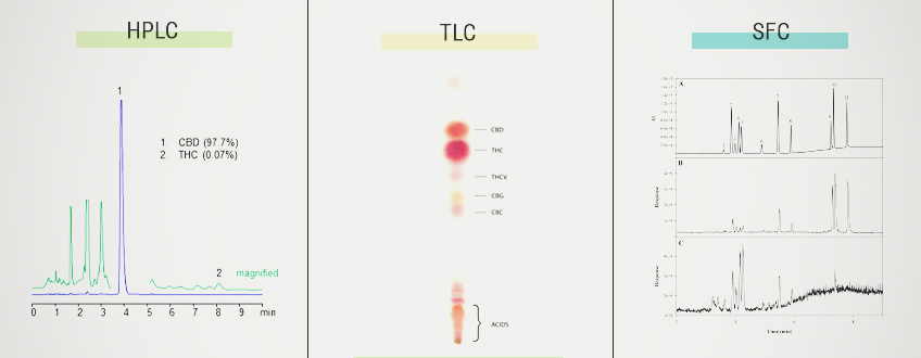 CALCULATING CANNABINOID PERCENTAGE