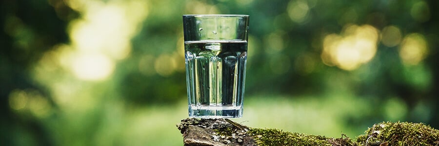 Glass of Water as a Detox for Cannabis