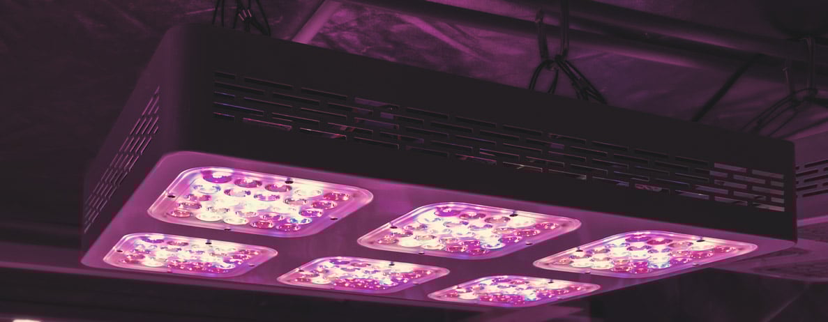 Consider Switching to LEDs Consider Switching to LEDs
