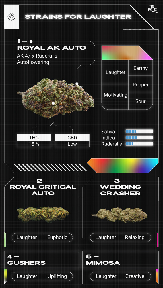 Top RQS Strains for Laughter Top RQS Strains for Laughter