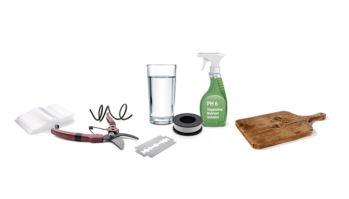Cannabis grafting equipment with pruning scissors, grafting blade, film, water, pH 6 nutrient solution, and a wooden board.