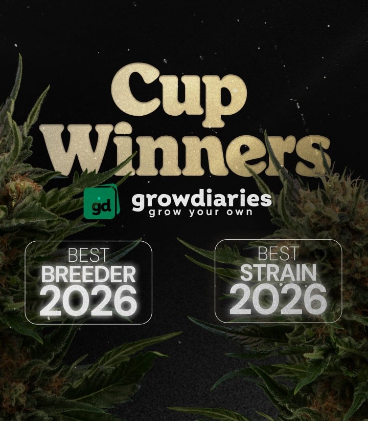 Cup Winners 2026 cannabis awards banner featuring best strain and best breeder winners with cannabis buds and GrowDiaries logo