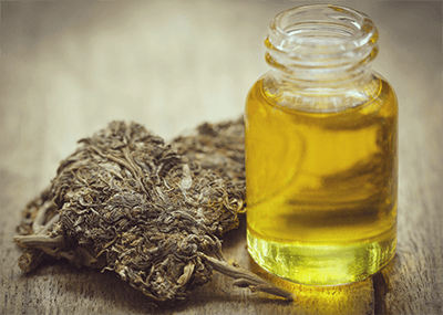 infused cannabis oil pesto recipe