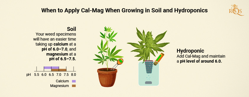 When to apply Cal-Mag When to apply Cal-Mag