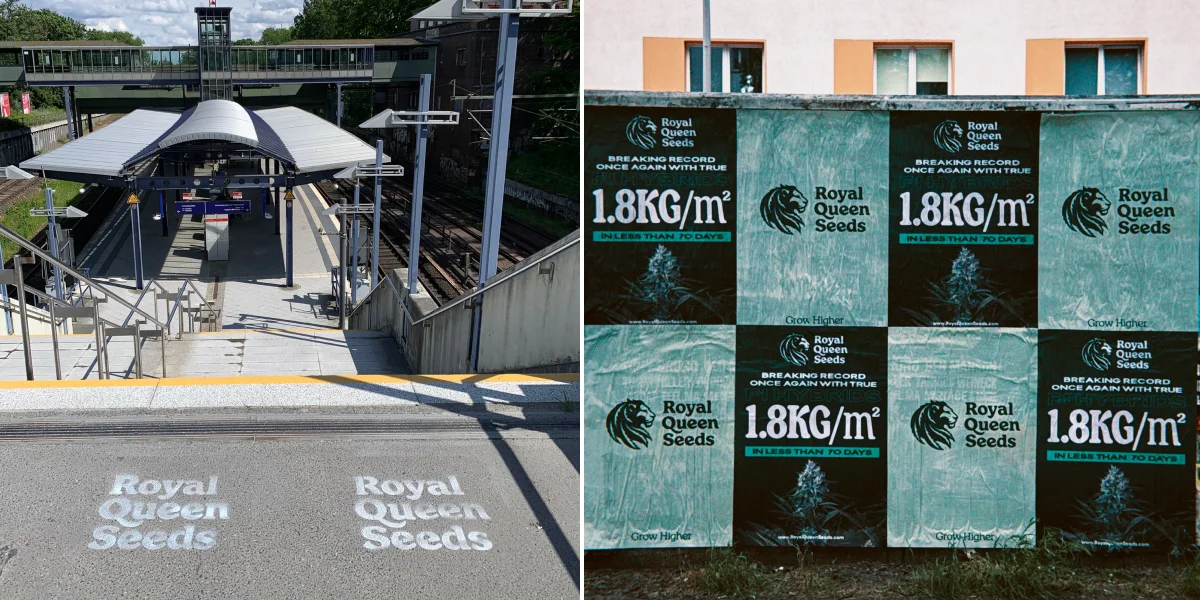 See the Power to the Grower campaign across Berlin, sharing the message of home growing, independence, and knowing your own plants.
