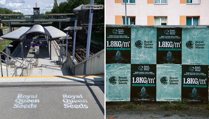 See the Power to the Grower campaign across Berlin, sharing the message of home growing, independence, and knowing your own plants.