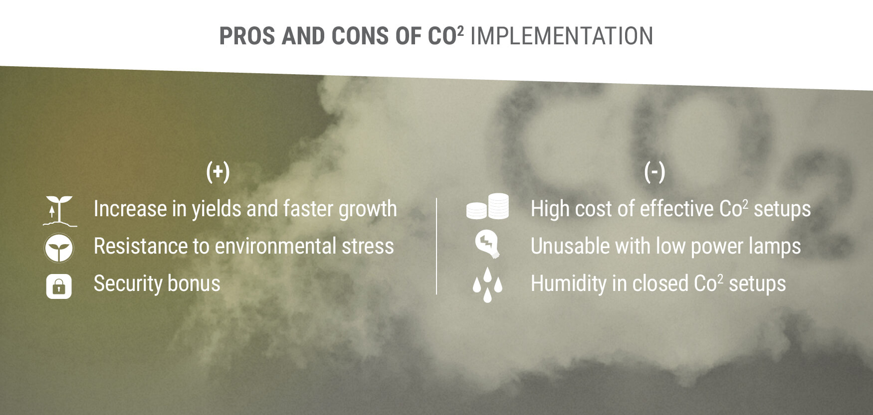 Pros and Cons of CO2 Implementation