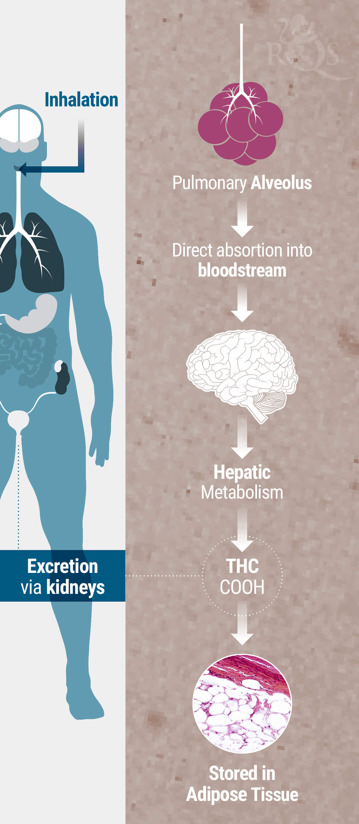 Method of Consumption