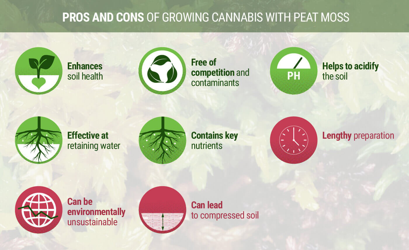 Pros and Cons of Growing Cannabis With Peat Moss