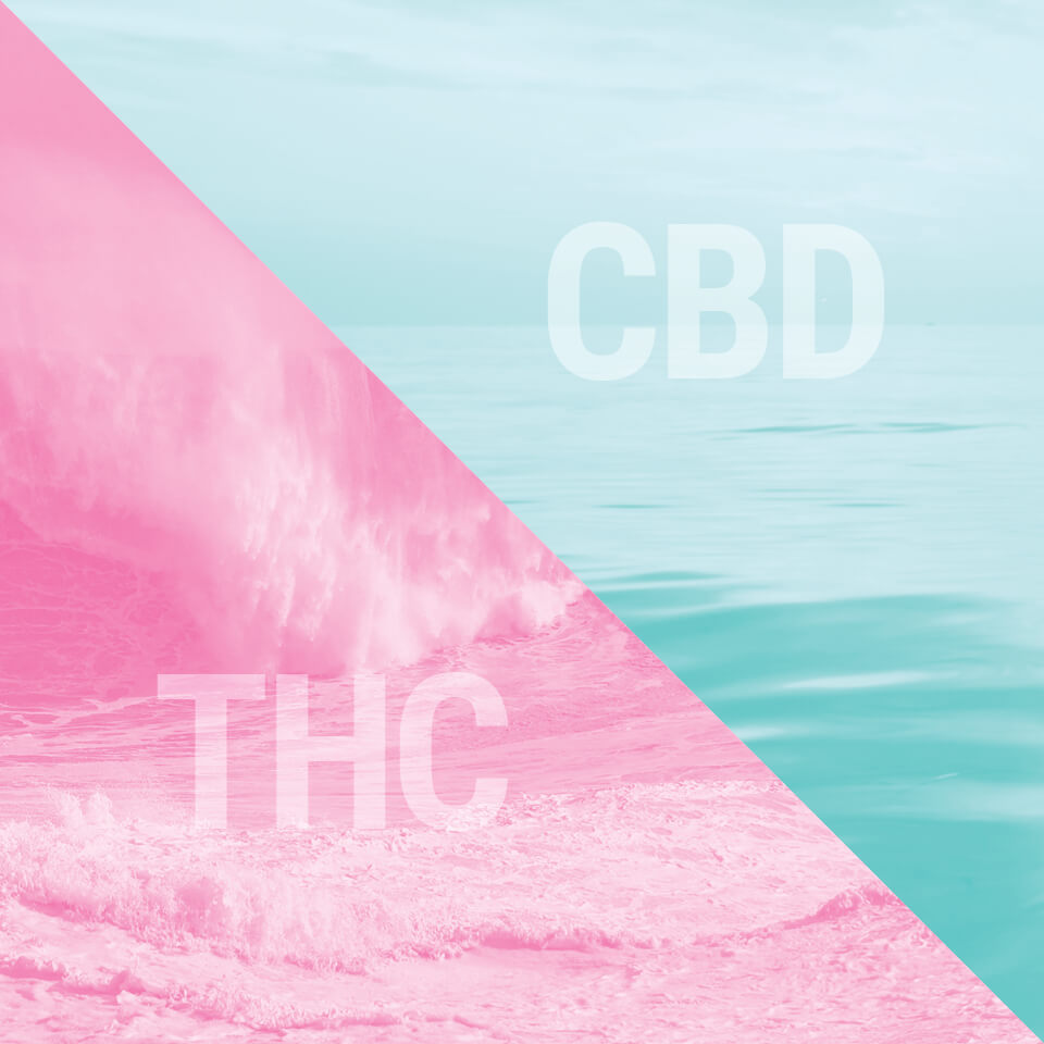 Research on medical marijuana Research on medical marijuana
