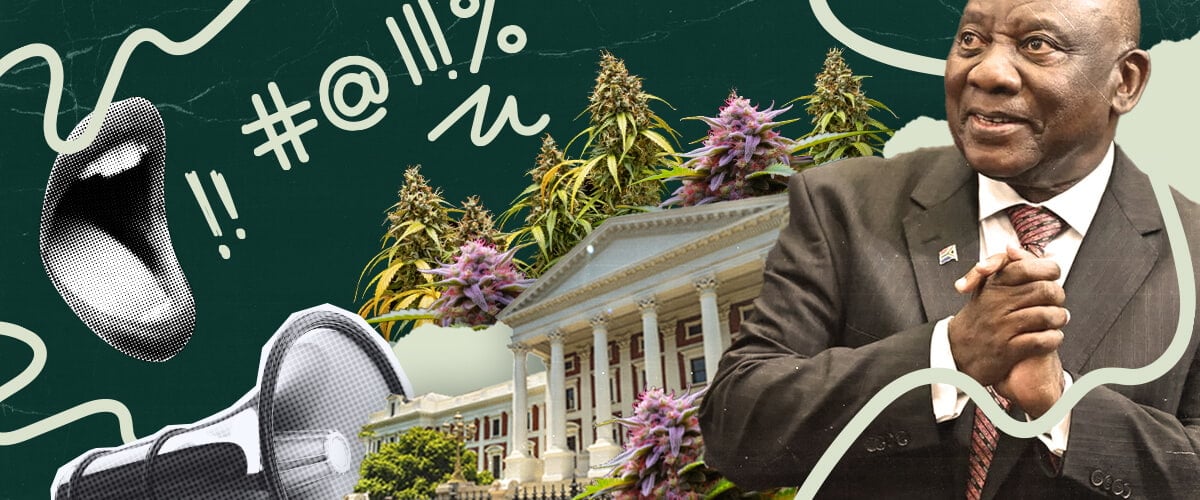 South Africa and cannabis legalization: This image depicts President Ramaphosa, parliament, and marijuana plants, hinting at the ongoing debate and potential legalization of cannabis in South Africa.