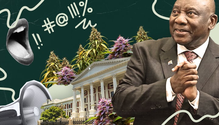 South Africa and cannabis legalization: This image depicts President Ramaphosa, parliament, and marijuana plants, hinting at the ongoing debate and potential legalization of cannabis in South Africa.