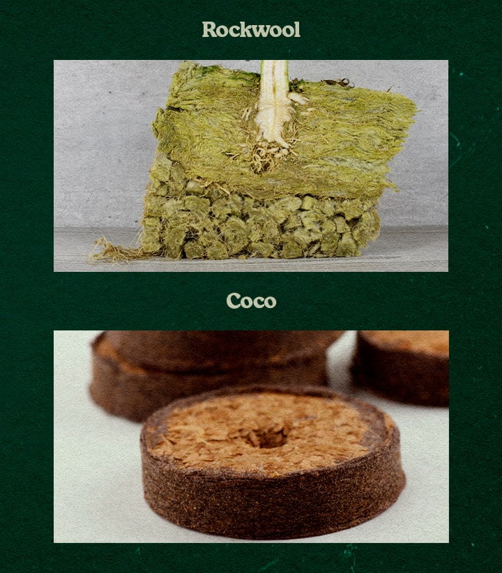 Comparison of Rockwool and Coco substrates, showing a plant rooted in green Rockwool and a circular Coco disc, tested for growth.