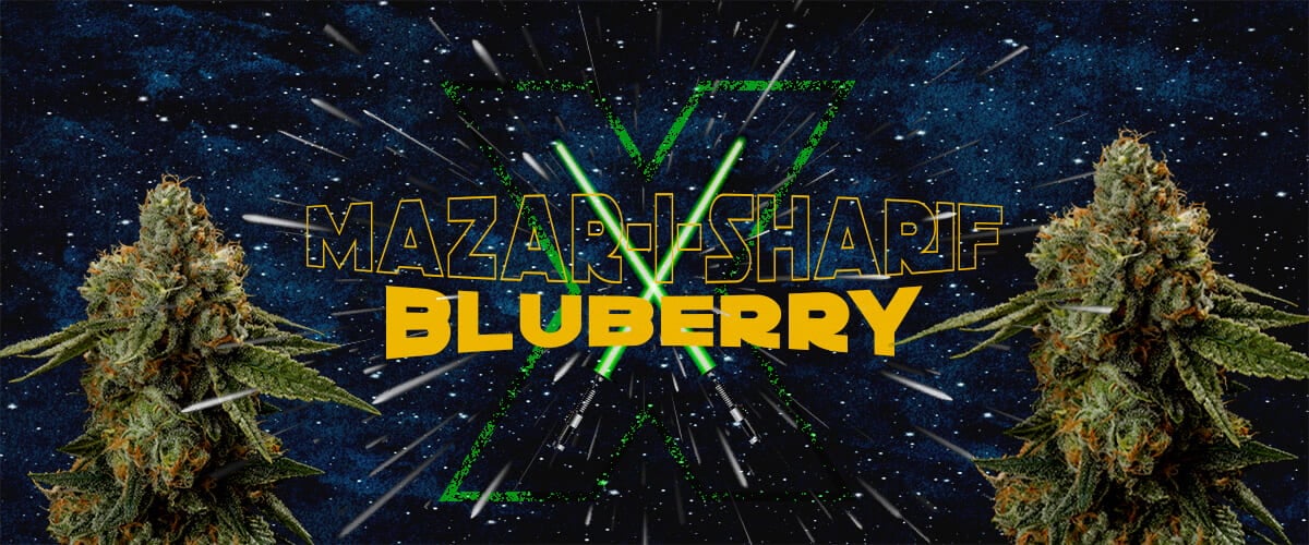 Star Wars-themed image featuring Mazar i Sharif and Blueberry cannabis strains, with green lightsabers and a cosmic background.
