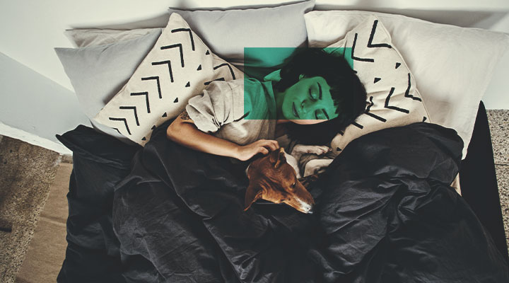 Sleep Sleep